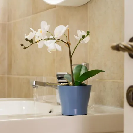 公寓 Moro7 Apartment-stylish & Bright-piazza Trilussa 罗马