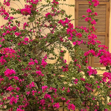 Appartamento Moro7 Apartment-stylish & Bright-piazza Trilussa